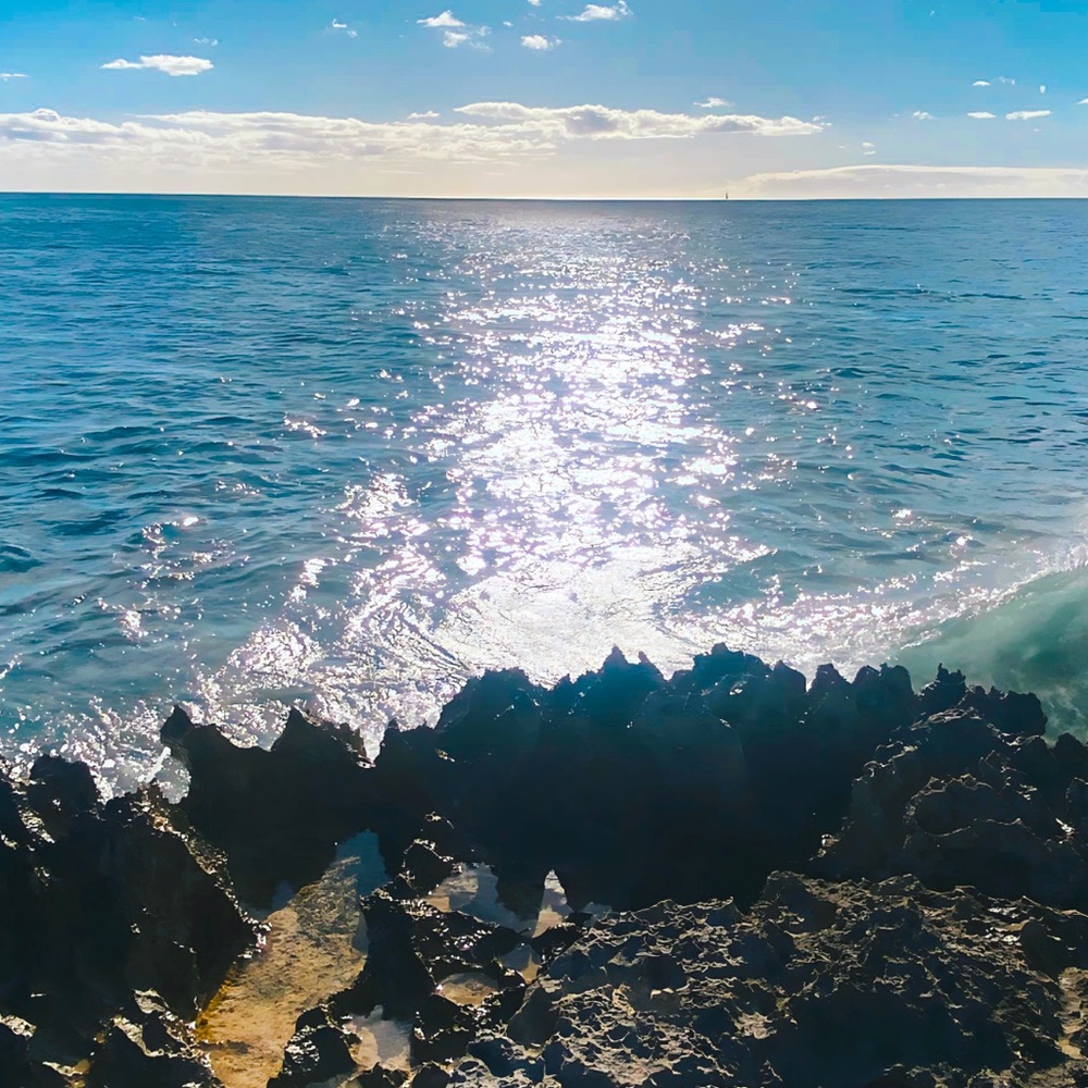 Meet your Posher, Dayna